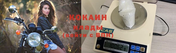 гашик Валдай