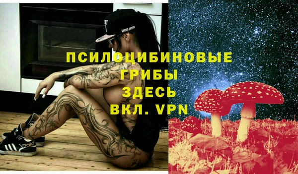 соль ск Осташков
