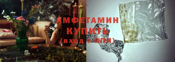 ешки Пересвет