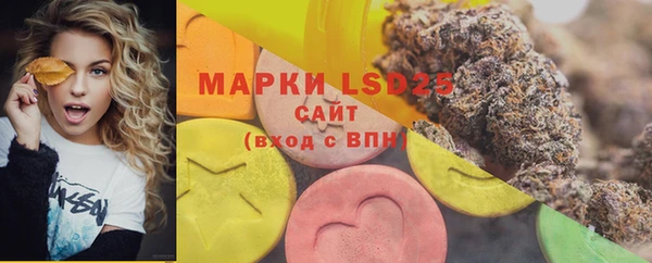 СК Осинники