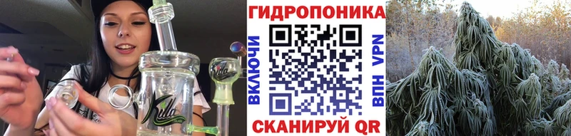 цены   Болхов  Бошки марихуана планчик 